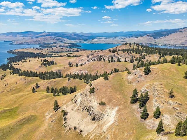 drone / aerial view featuring a water and mountain view