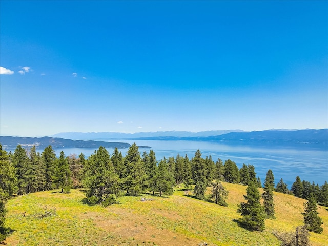 water view with a mountain view