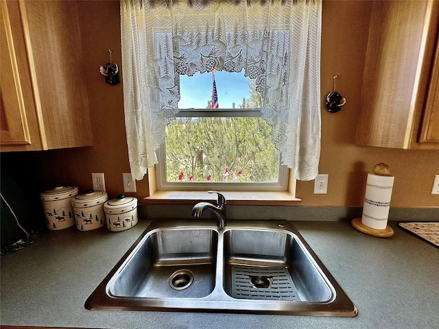 details with brown cabinetry and a sink