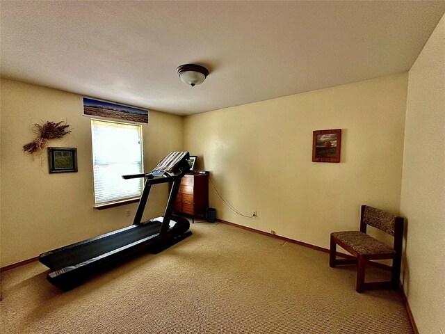 bedroom featuring carpet