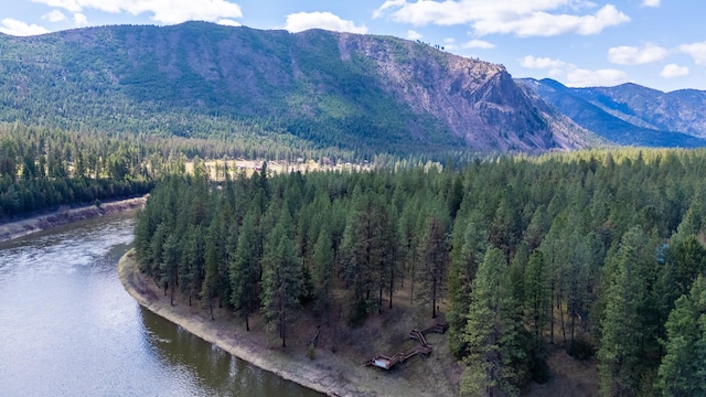 property view of mountains with a water view and a view of trees