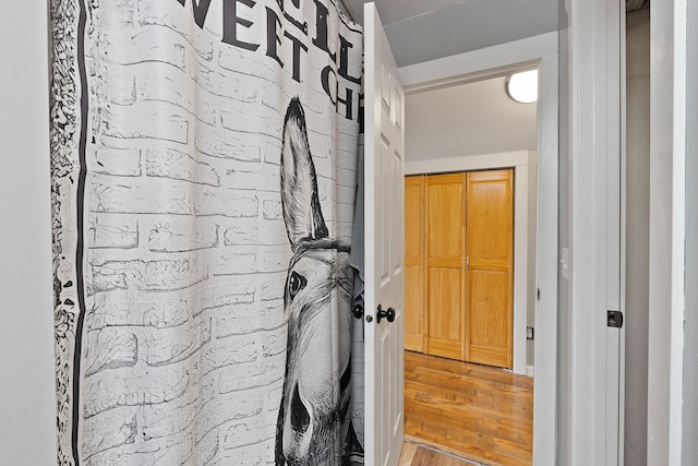 washroom featuring hardwood / wood-style flooring