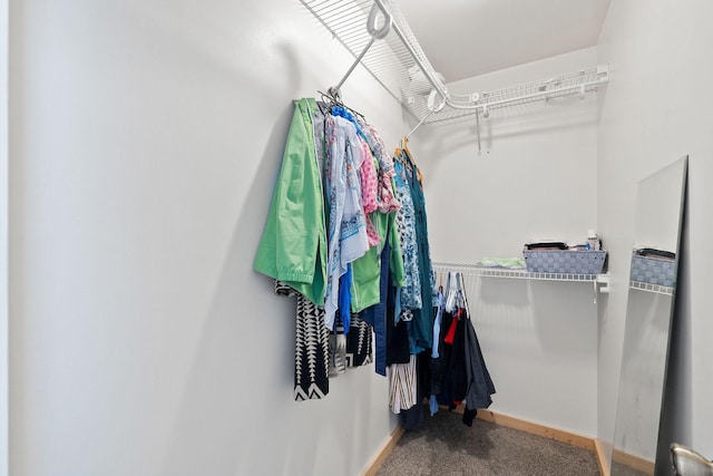 spacious closet with carpet