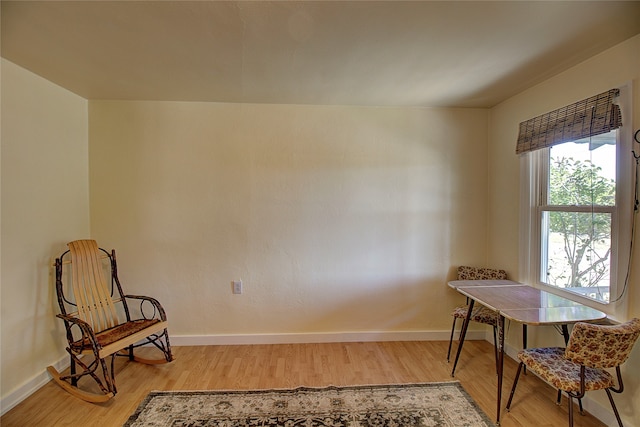 living area featuring wood-type flooring