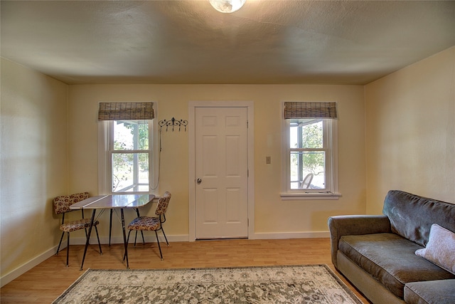 living room featuring light hardwood / wood-style flooring