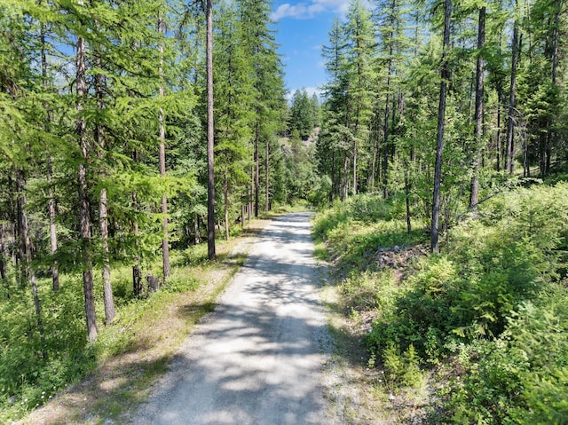 Listing photo 3 for NHN Hutchens Ln, Whitefish MT 59937