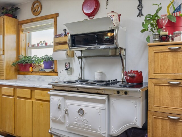 kitchen featuring range