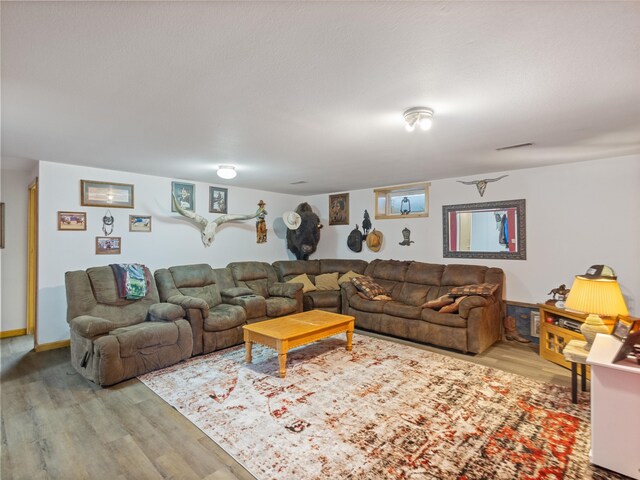 living room featuring hardwood / wood-style floors