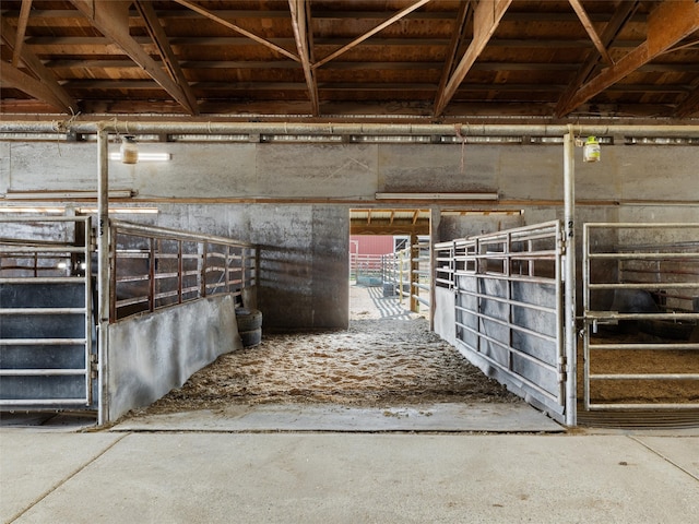 view of horse barn