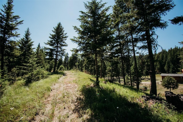 view of local wilderness