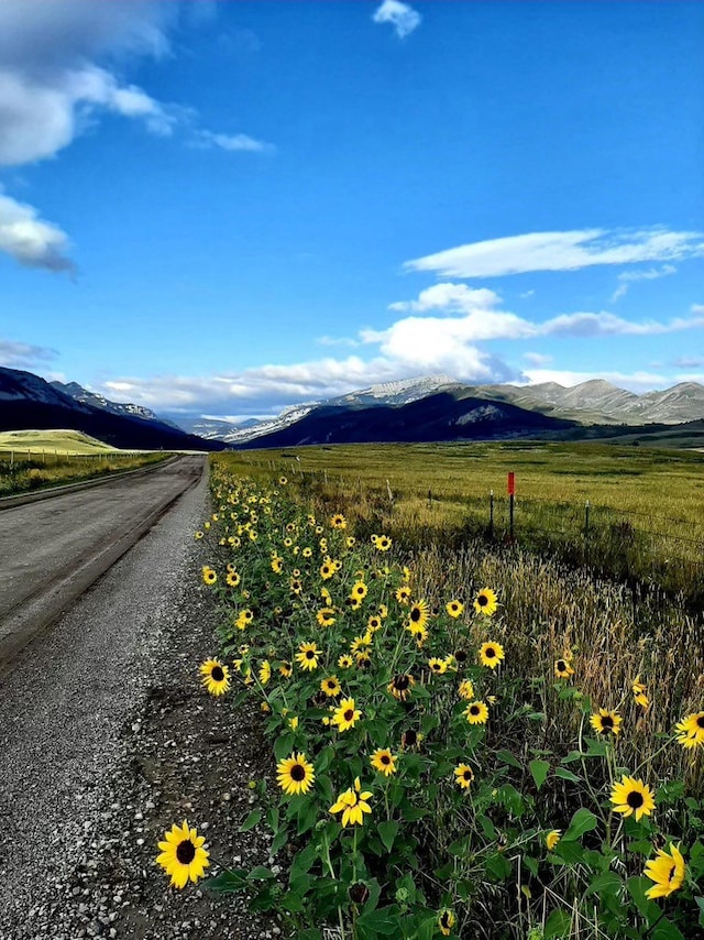 property view of mountains featuring a rural view