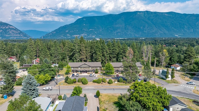 birds eye view of property with a mountain view