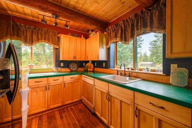 87 Badger Trl, Eureka, MT 59917 - kitchen featuring white dishwasher, a wooden ceiling with exposed beams, dark wood-type flooring, freestanding refrigerator, and healthy amount of natural light