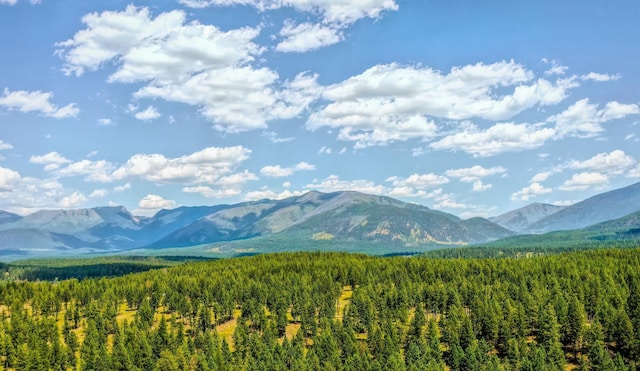 87 Badger Trl, Eureka, MT 59917 - mountain view featuring a heavily wooded area