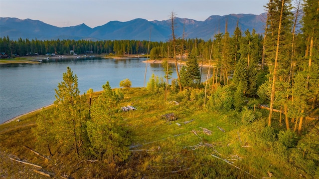 1802 Echo Cabin Loop, Bigfork, MT 59911