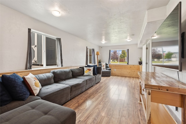 living room with light hardwood / wood-style flooring