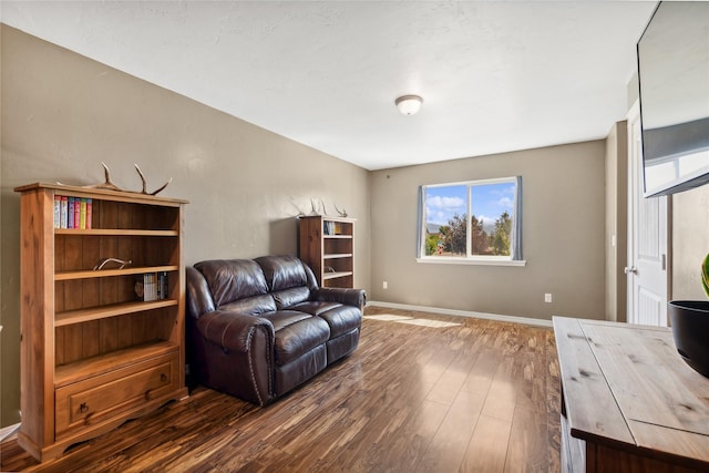 living room with dark hardwood / wood-style floors