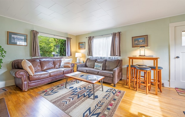 living room featuring light wood-type flooring