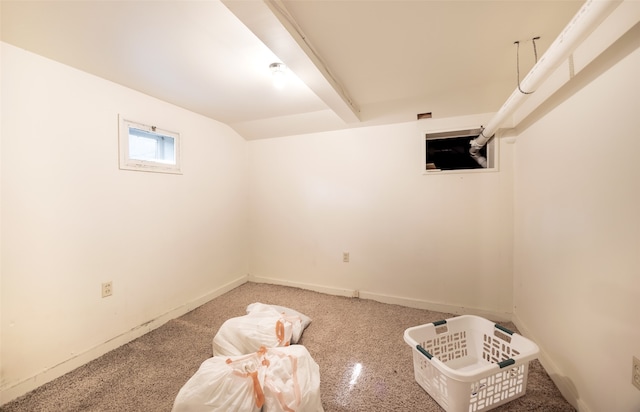 basement with carpet flooring