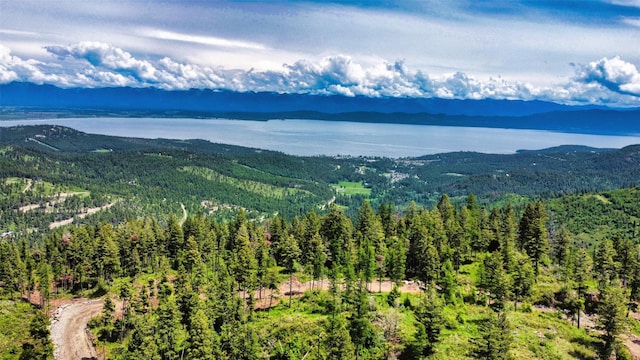 1850 Blacktail Rd, Lakeside MT, 59922 land for sale