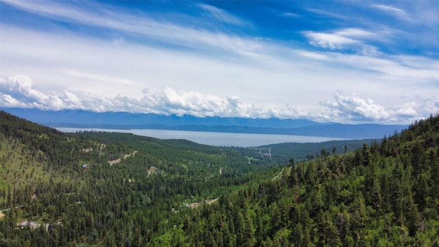 Listing photo 3 for 1850 Blacktail Rd, Lakeside MT 59922