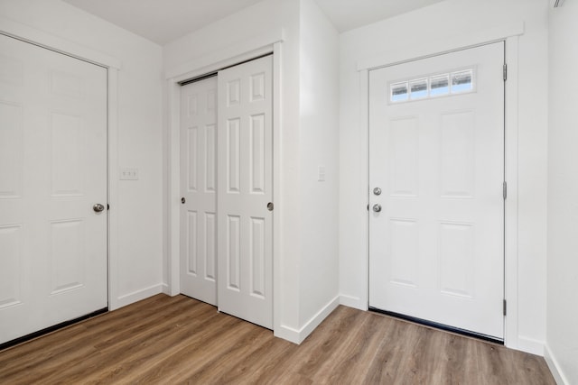 foyer entrance with wood-type flooring