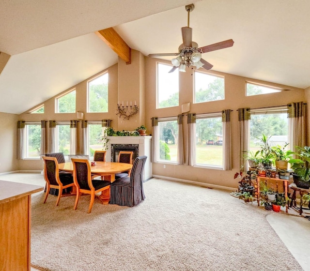 dining room featuring carpet floors, high vaulted ceiling, beamed ceiling, and a healthy amount of sunlight