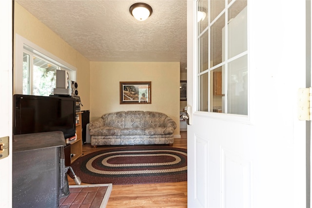 living room featuring a textured ceiling and wood-type flooring