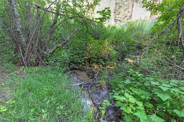 view of landscape with a water view