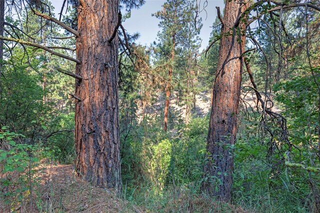 view of landscape