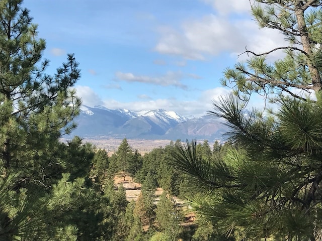 view of landscape featuring a mountain view