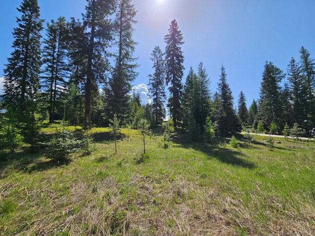 LOT11 Old Mill Way, Trout Creek MT, 59874 land for sale