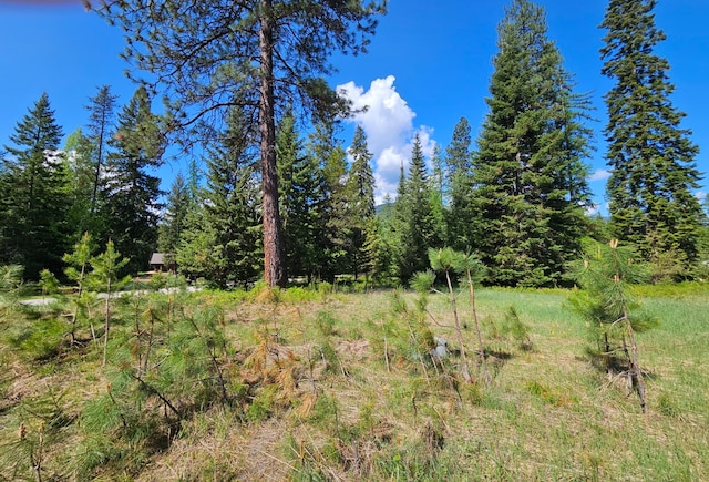 Listing photo 3 for LOT11 Old Mill Way, Trout Creek MT 59874