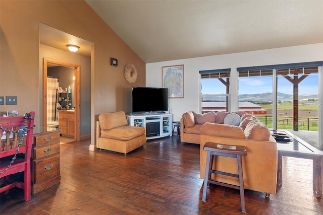 living room featuring dark wood-type flooring and lofted ceiling