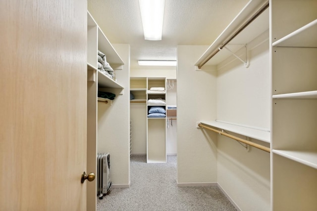 spacious closet featuring light carpet