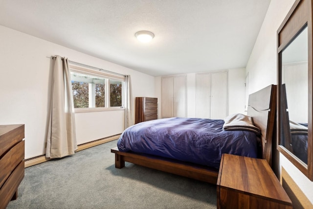 253 Pine Needle Ln, Bigfork, MT 59911 - bedroom with carpet flooring and a baseboard heating unit
