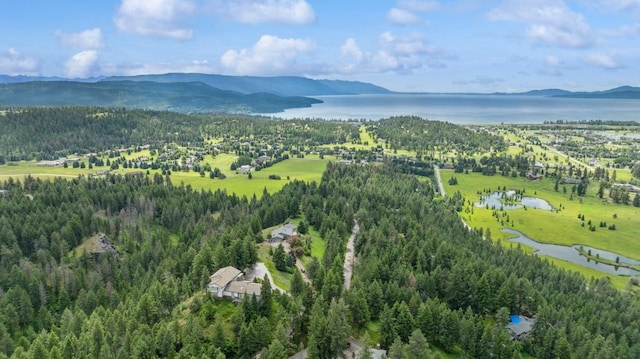 aerial view featuring a water and mountain view