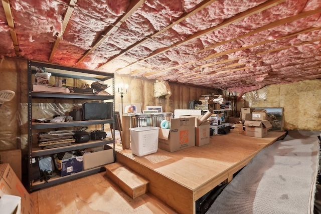 253 Pine Needle Ln, Bigfork, MT 59911 - view of below grade area
