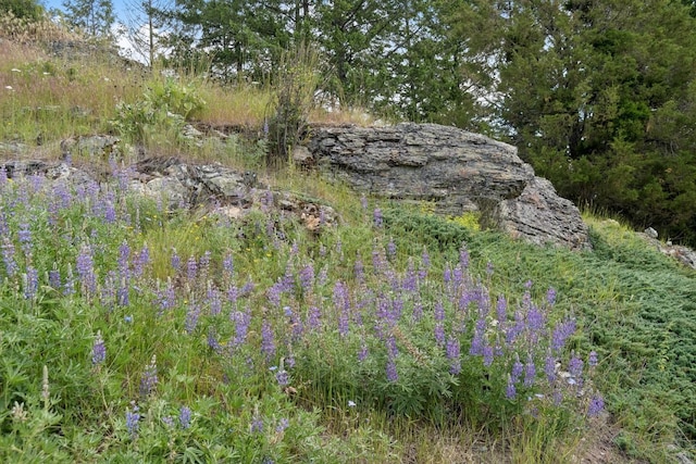 view of nature