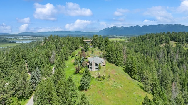 drone / aerial view featuring a mountain view and a view of trees