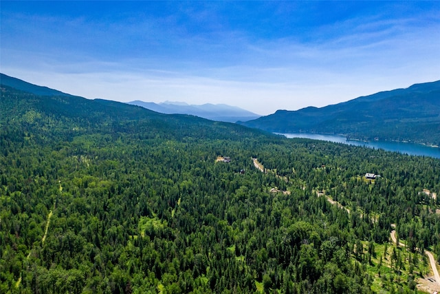 Listing photo 2 for NHN Orvis Evans Dr Unit 035, Bigfork MT 59911