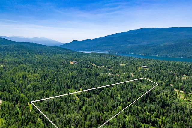 Listing photo 3 for NHN Orvis Evans Dr Unit 035, Bigfork MT 59911