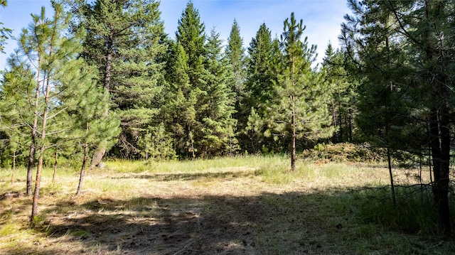 LOT25 Park Circle Dr, Polson MT, 59860 land for sale