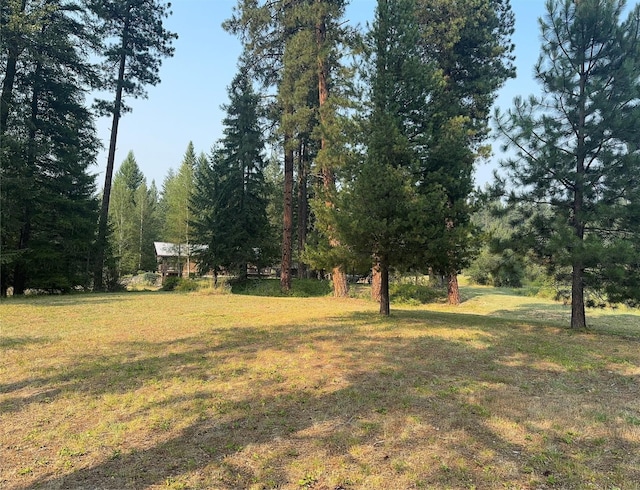 2378 Lake Creek Rd, Troy, MT 59935 - view of green lawn