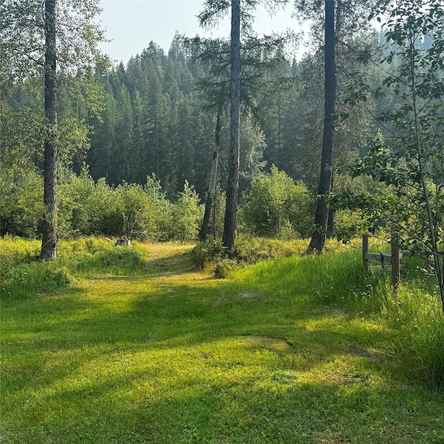 2378 Lake Creek Rd, Troy, MT 59935 - view of wooded area