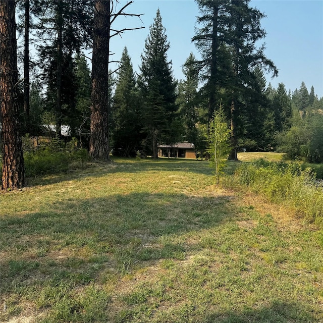 2378 Lake Creek Rd, Troy, MT 59935 - view of green lawn featuring a wooded view