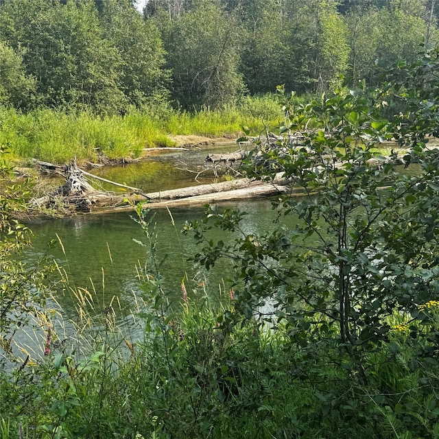 2378 Lake Creek Rd, Troy, MT 59935 - water view with a forest