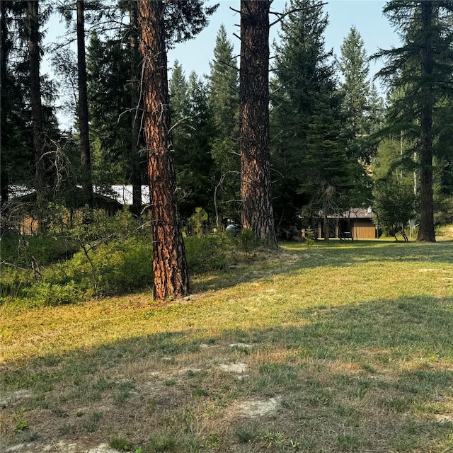 2378 Lake Creek Rd, Troy, MT 59935 - view of green lawn