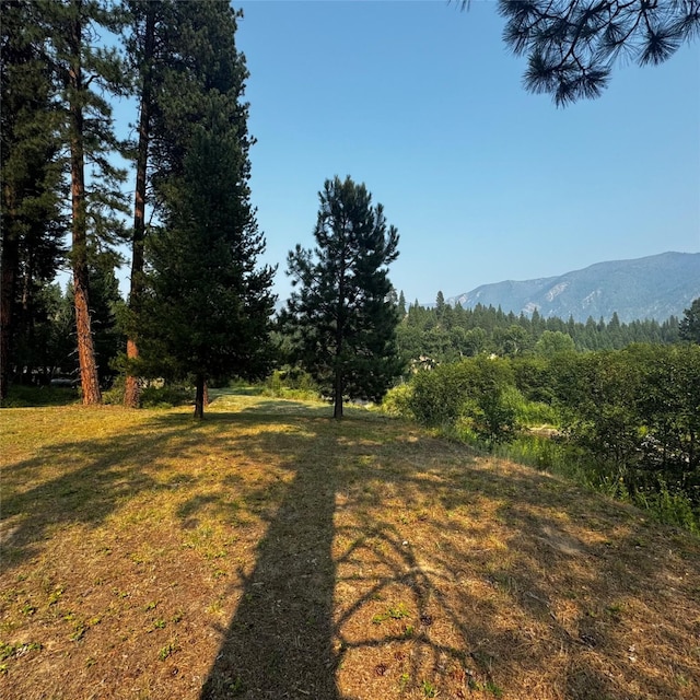 2378 Lake Creek Rd, Troy, MT 59935 - view of grassy yard featuring a view of trees and a mountain view