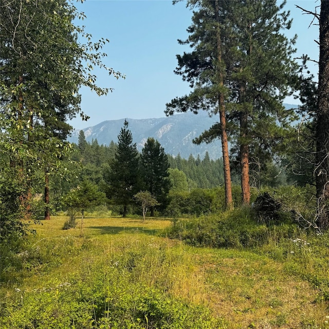 2378 Lake Creek Rd, Troy, MT 59935 - mountain view featuring a heavily wooded area